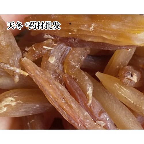 天冬玉林家種價(jià)錢？