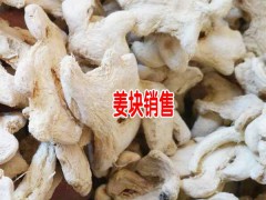 云南干姜出口%泡姜批發(fā)-云南泡姜銷售-小黃姜干片供應(yīng) 羅平縣永和農(nóng)業(yè)種植專業(yè)合作社圖1