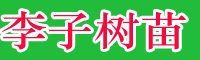 李子樹苗新批發(fā)價格表