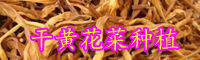 干黃花菜產(chǎn)地-做法有哪些？