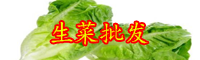 “皇帝菜”生菜的種植方法要點(diǎn)：采收也有小技巧！