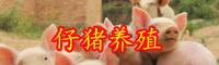 仔豬價(jià)格行情怎么樣？養(yǎng)殖技術(shù)有哪些？