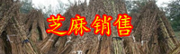 八谷之冠“芝麻開花節(jié)節(jié)高”是什么意思？