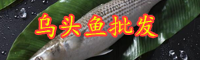 云南烏頭魚價(jià)格在多少錢一斤？垂釣時(shí)間在什么時(shí)候？