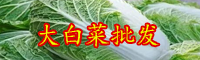 云南大白菜價(jià)格現(xiàn)低谷是什么情況？多少錢一斤？