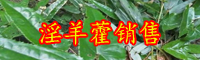 2019-2020年云南淫羊藿多少錢(qián)一斤？泡水喝有什么好處？