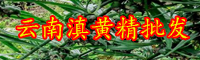 黃精價(jià)錢多少錢一斤？種植前景和經(jīng)濟(jì)效益如何？