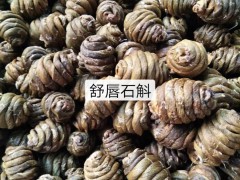 鐵皮石斛種苗&價(jià)格多少錢一株？鐵皮石斛栽培種植方法你掌握了嗎？圖3