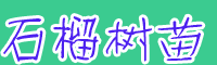 2020年軟子(無子)大概多少錢一棵？一般什么時(shí)候移栽好？