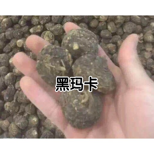 2020年黑瑪咖多少錢一斤？黑瑪咖種植前景