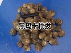 哪里有賣黃瑪咖 黃瑪咖一斤多少錢 附各地黃瑪咖新價格表圖3