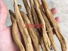 百部的識別方法圖2