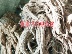 栽種當歸兩年能獲得？畝經(jīng)濟效益和栽培技術是如何？圖3