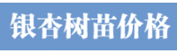 銀杏樹苗價格多少錢?銀杏樹苗的價格行情_銀杏樹苗批發(fā)