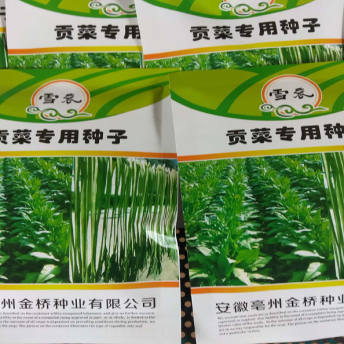 貢菜圖片_迪慶貢菜批發(fā)圖片