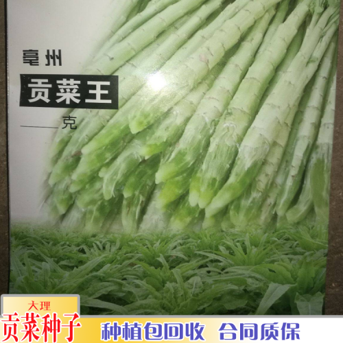 貢菜種植多久可以收獲_貢菜防凍嗎