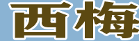 西梅、加州西梅、歐洲李苗圃圖片性（附行情價(jià)格）