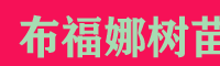 粉紅黑老虎苗 廣西黑老虎苗  無籽布福娜苗價格