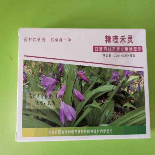 白芨種植_基地除草劑_昆明白芨除草劑