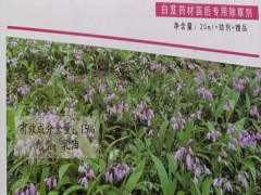 金鐵鎖種子除草劑_金鐵鎖種子銷售（基地專用除草劑）圖3