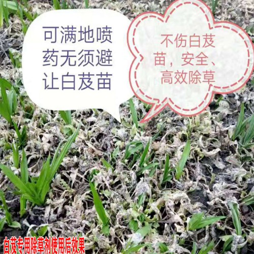 云南中藥材基地專用除草劑(說明書)_專用中藥材除草劑圖片