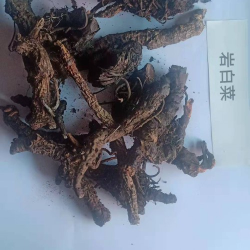 小孩子咳嗽可以吃巖白菜嗎