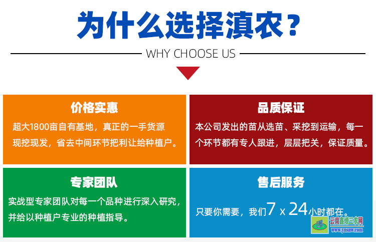 天冬苗 天門冬種苗批發(fā)供應(yīng) 天冬種苗價(jià)格 天冬種植 基地現(xiàn)挖現(xiàn)發(fā)