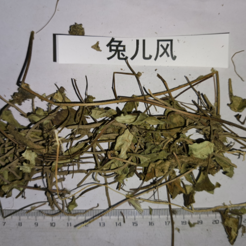 云南兔耳風(fēng)貨源多多，優(yōu)質(zhì)好貨