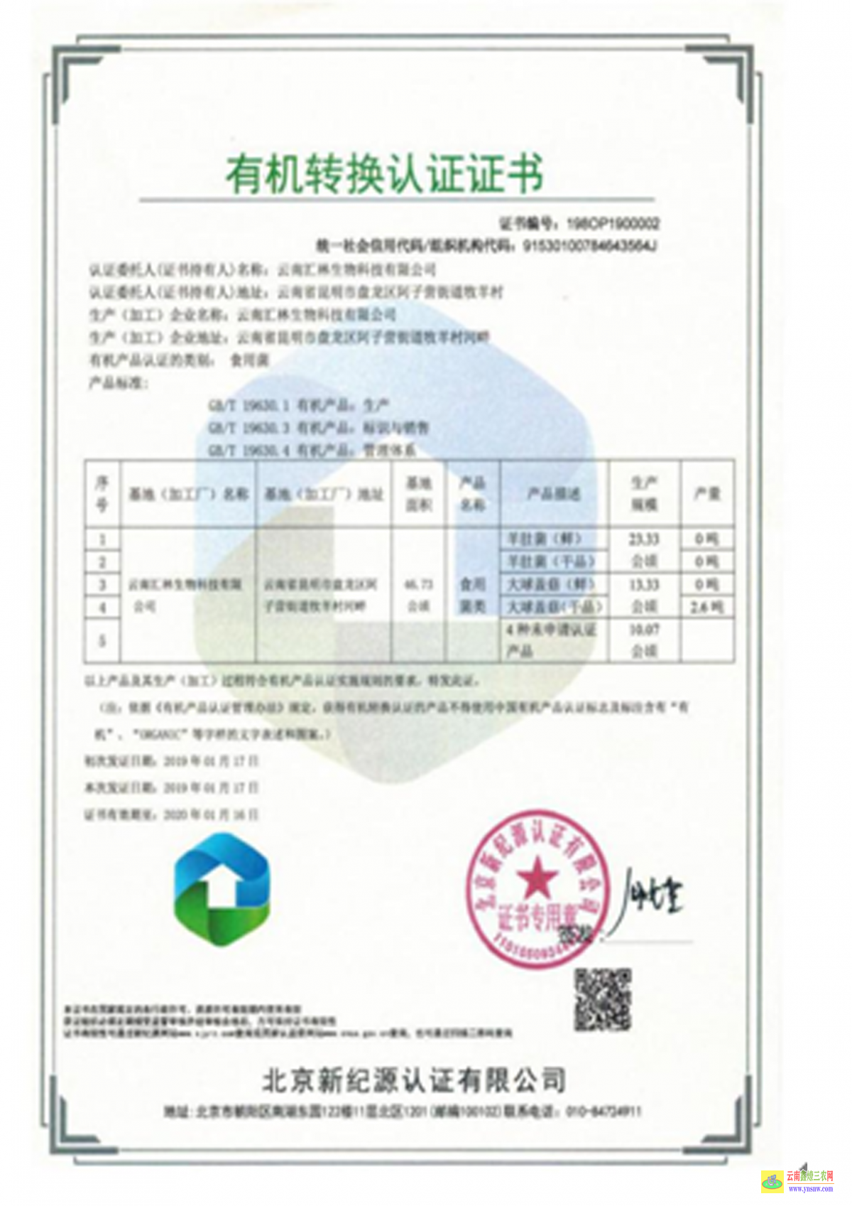 廣西羊肚菌多少錢一斤 大量羊肚菌收購公司 怎么樣