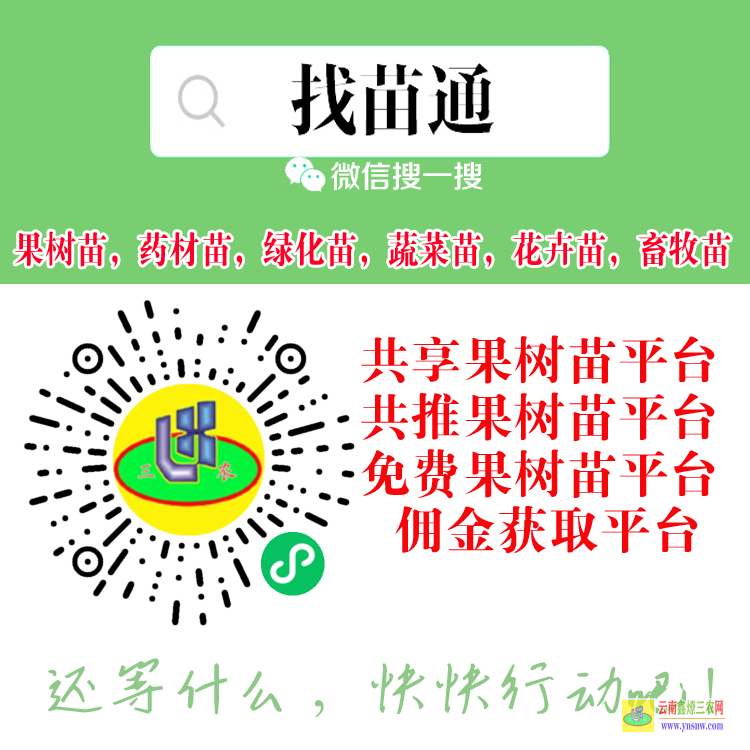 龍陵【蔬菜苗】什么平臺(tái) 微信搜一搜[找苗通] 花卉苗木苗木網(wǎng)