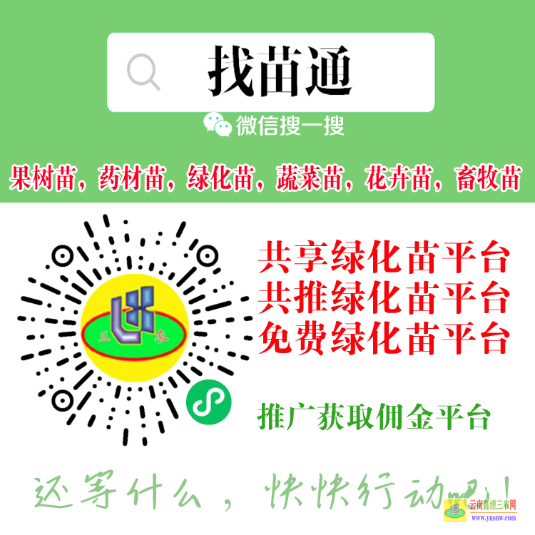 龍陵【蔬菜苗】什么平臺(tái) 微信搜一搜[找苗通] 花卉苗木苗木網(wǎng)