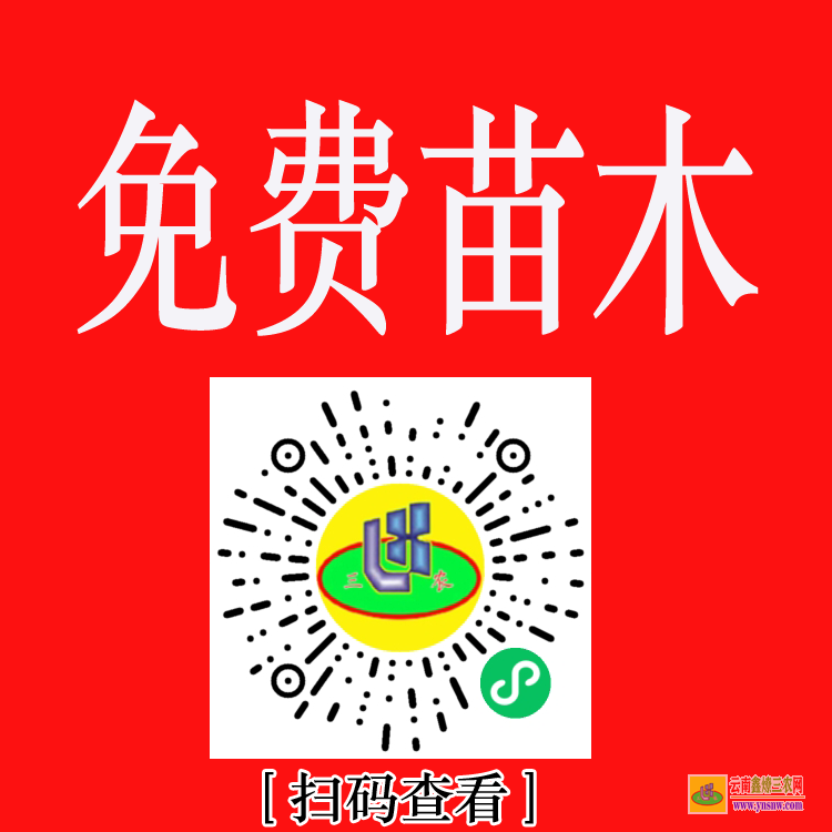 沾益工地緊急求購(gòu)苗木 綠化工程苗木報(bào)價(jià)清單 大的苗木求購(gòu)網(wǎng)