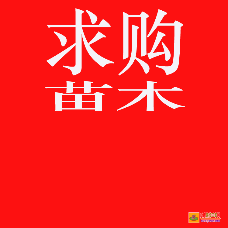 隴川苗木銷售如何找客戶 上門收購綠化樹木 工程急需苗木求購信息