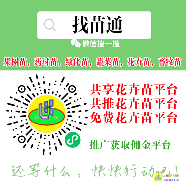 北碚藥材苗木合作社 藥材苗木批發(fā)網(wǎng)站 藥材苗木網(wǎng)