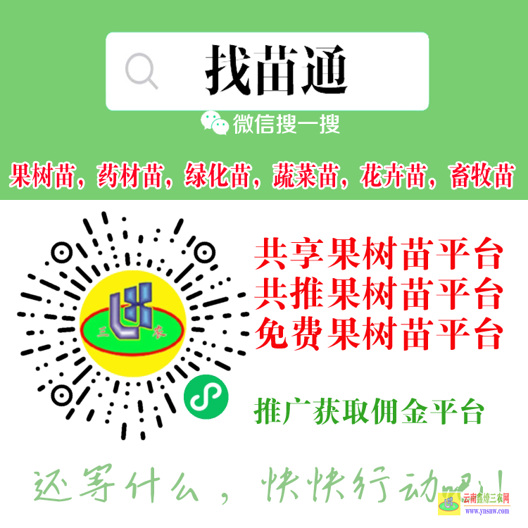 綿竹藥材苗木合作社 藥材苗木批發(fā)網(wǎng)站 藥材苗木網(wǎng)