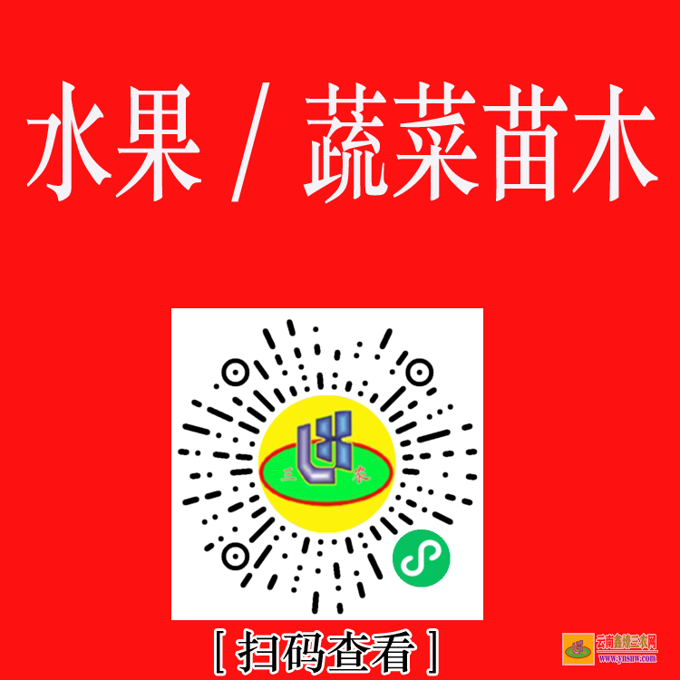 宜賓藥材苗木合作社 株瑜藥材苗木 藥材苗木網(wǎng)