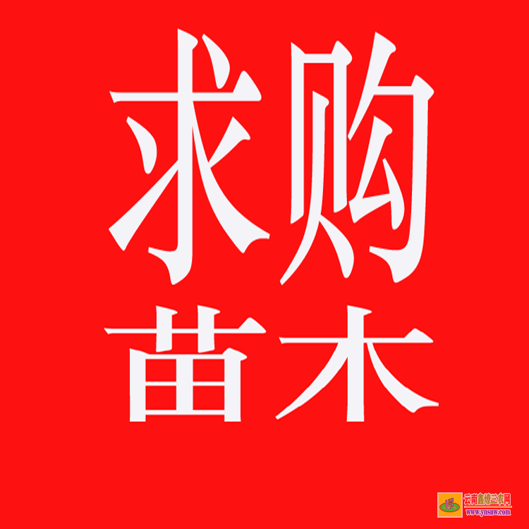 什邡藥材苗木合作社 藥材苗木批發(fā)網(wǎng)站 藥材苗木網(wǎng)