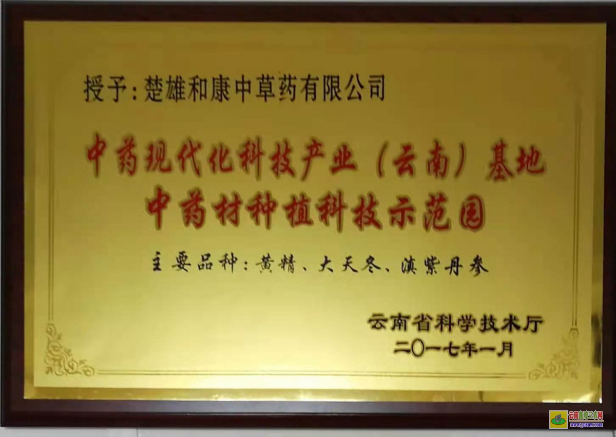 楚雄永仁天冬怎么種植 天冬畝產多少 天冬的經(jīng)濟效益