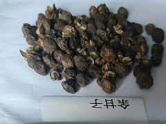 大理大理余甘子產(chǎn)量怎么樣 余甘子產(chǎn)區(qū) 余甘子功效圖1