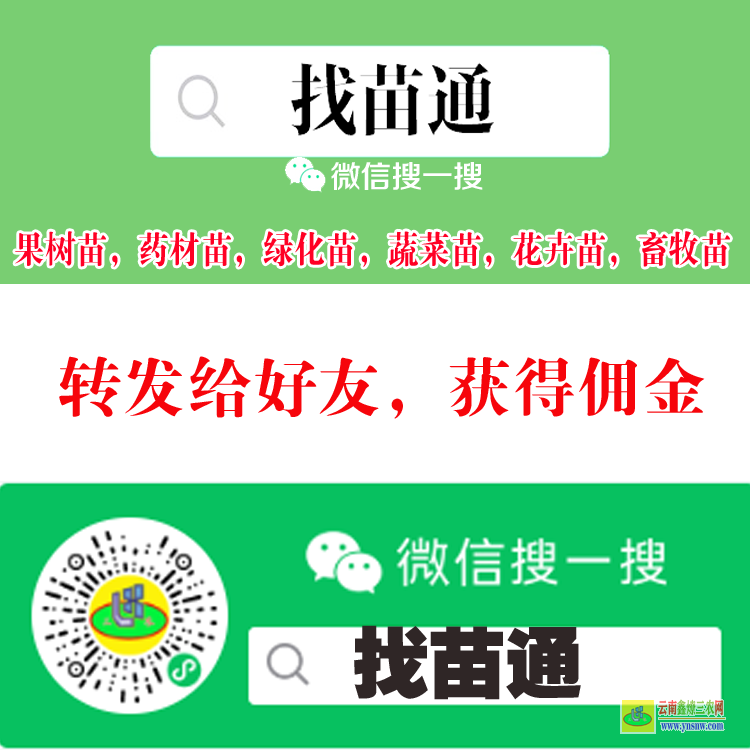 紅河果樹苗用什么肥料好| 果樹苗移栽幾天成活 果樹苗購銷合同