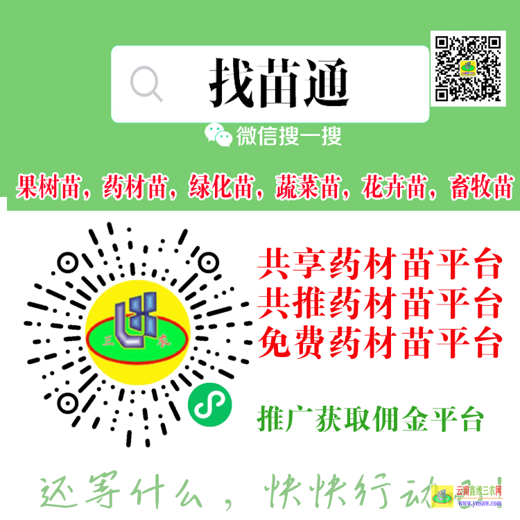 楚雄果樹苗用什么肥料好| 果樹苗是怎么種出來的 果樹苗木