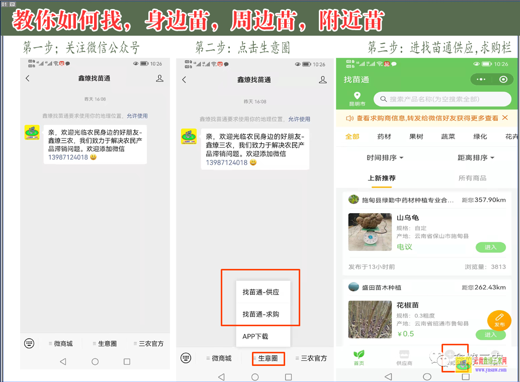 普洱北方果樹56個品種| 果樹苗移栽幾天成活 果樹苗木