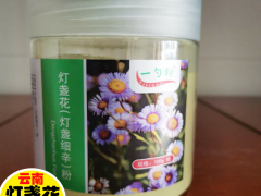 燈盞花價格_ 燈盞花的收購價格圖1