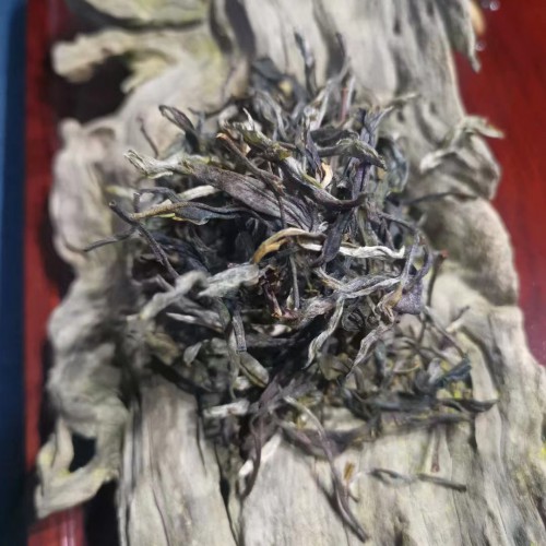 2023清明前原生態(tài)新茶500g