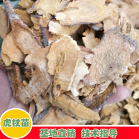 大量求購(gòu)高含量虎杖