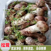 求購姬松茸菌種，數(shù)量6畝量