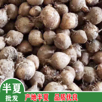 求購(gòu)半夏，硫1500內(nèi)，水分13%.選虎掌異形，其他達(dá)藥典標(biāo)準(zhǔn)，數(shù)量61噸