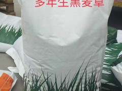 批發(fā):進口草種子，國產(chǎn)牧草種子，花草種子，灌木種子圖4